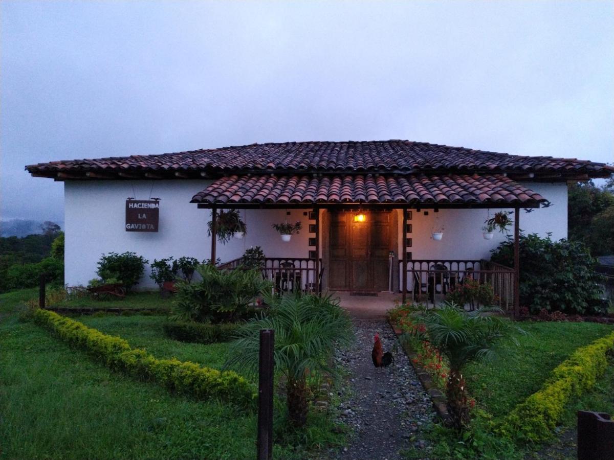 Hacienda Cafetera La Gaviota Chinchiná Exterior foto
