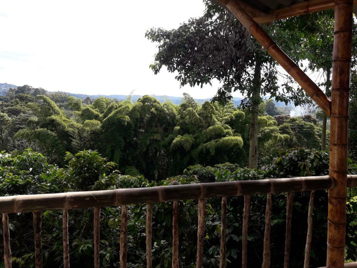 Hacienda Cafetera La Gaviota Chinchiná Exterior foto